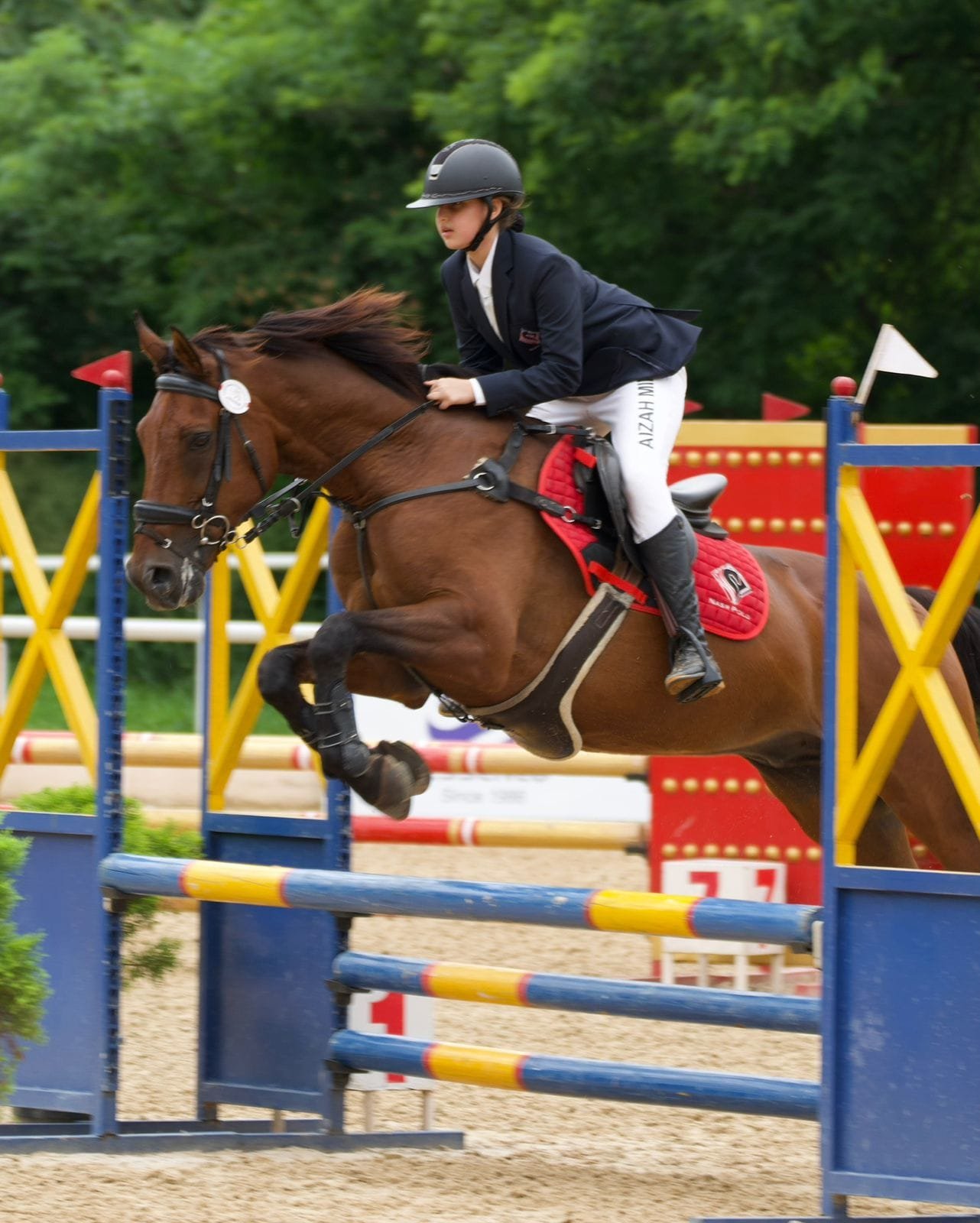 Showjumping & Dressage Lessons at Nasr Polo